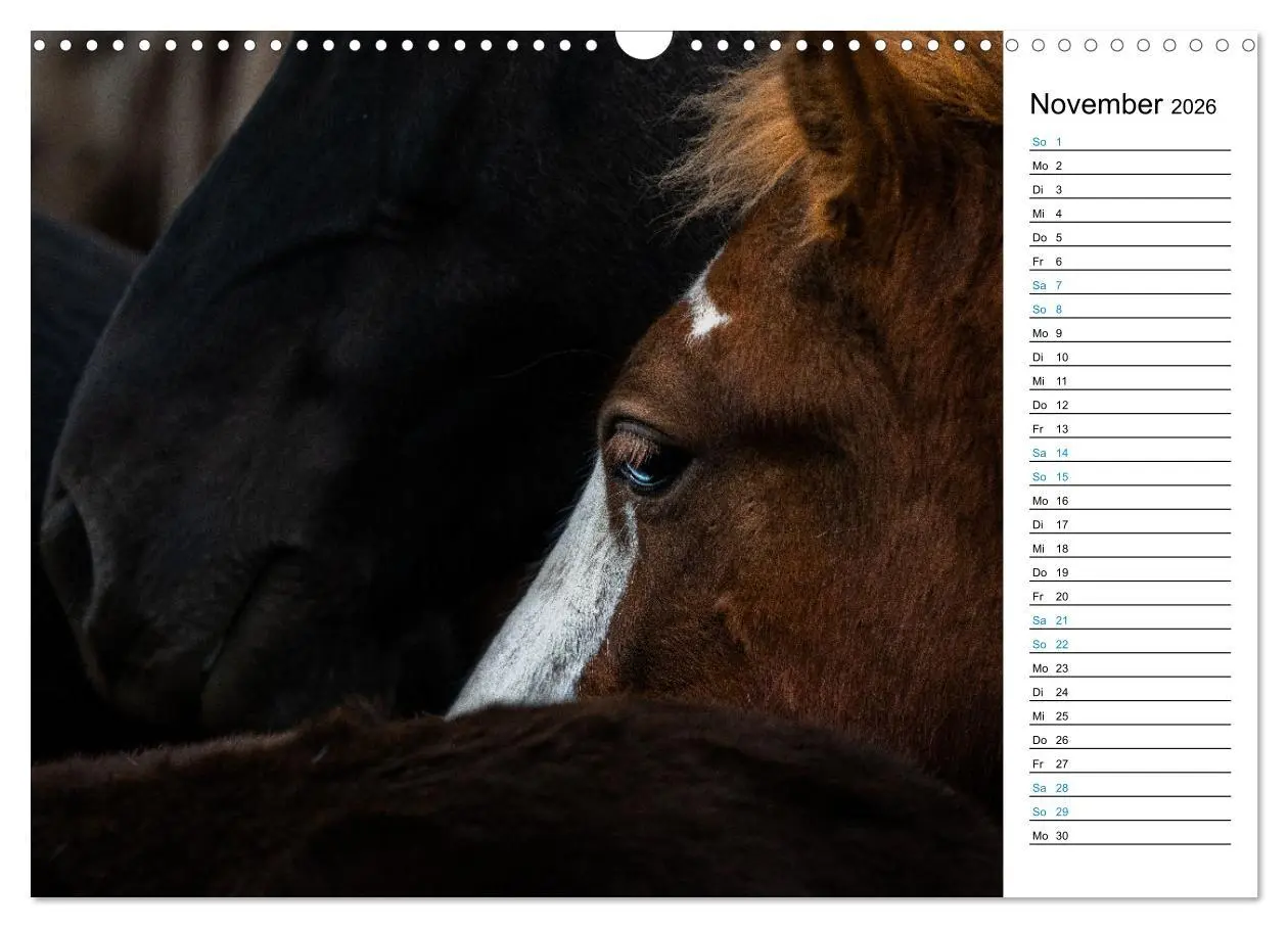 Bild: 9783457620069 | Islandpferde Kalender - Pferde von der Insel aus Feuer und Eis...