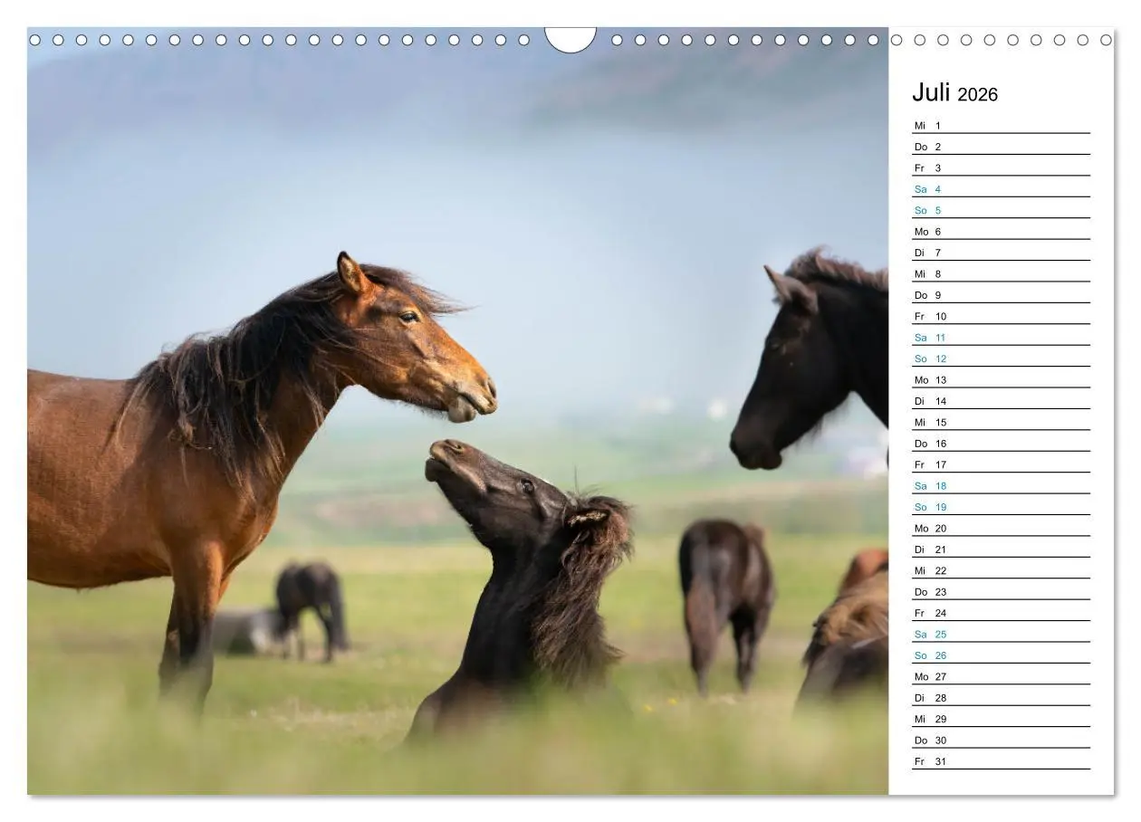 Bild: 9783457620069 | Islandpferde Kalender - Pferde von der Insel aus Feuer und Eis...