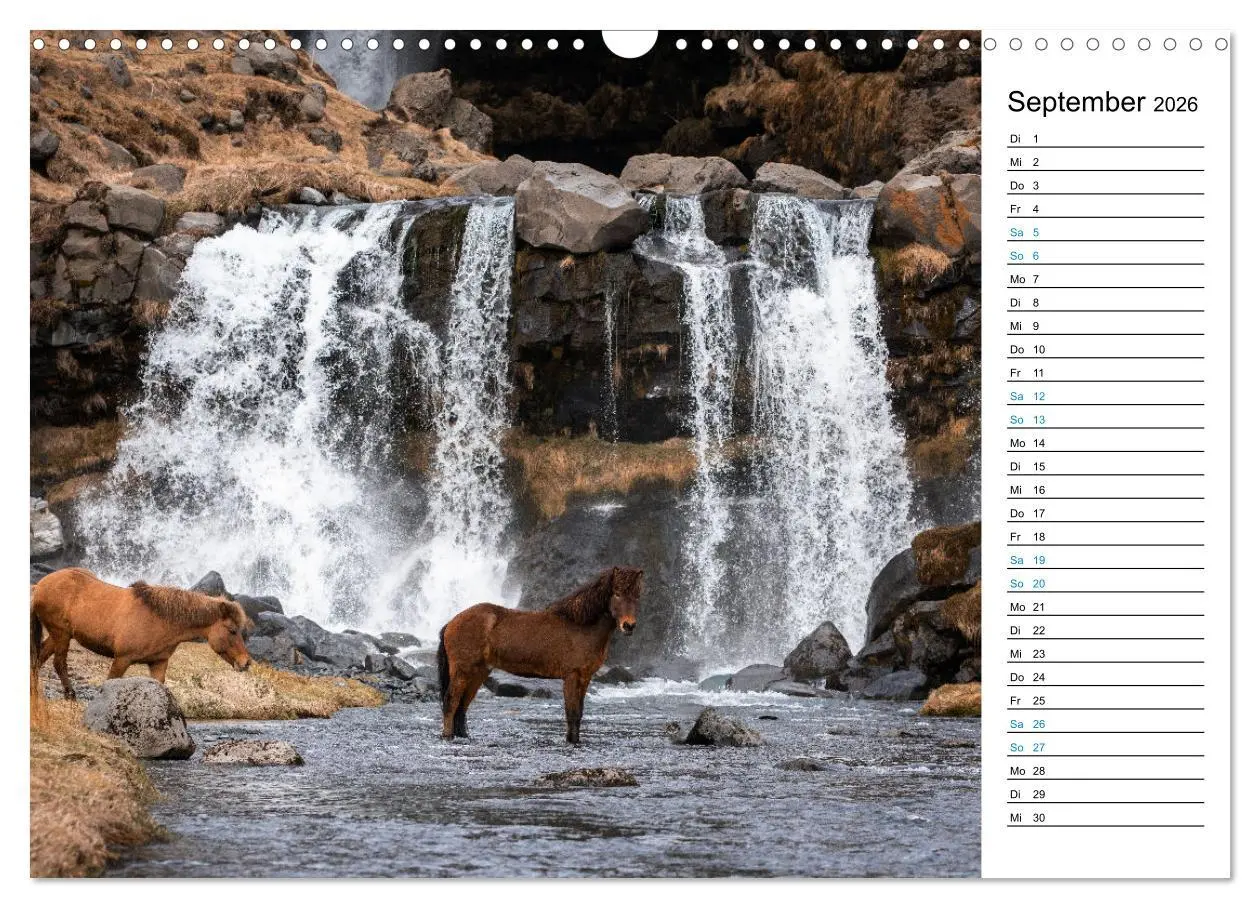 Bild: 9783457620069 | Islandpferde Kalender - Pferde von der Insel aus Feuer und Eis...