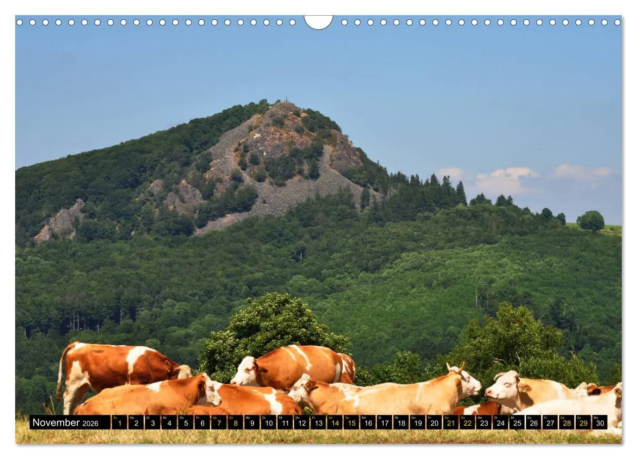 Bild: 9783457860069 | Rhöner Impressionen (Wandkalender 2026 DIN A3 quer), CALVENDO...