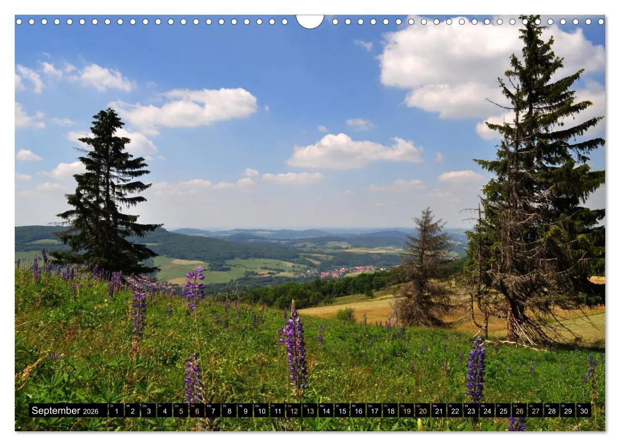 Bild: 9783457860069 | Rhöner Impressionen (Wandkalender 2026 DIN A3 quer), CALVENDO...