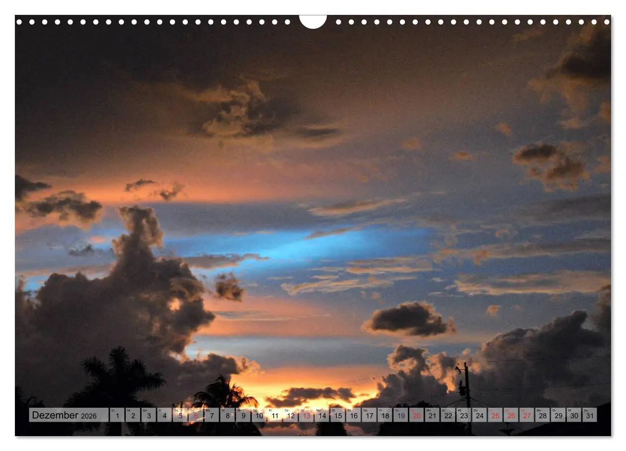 Bild: 9783457930069 | Florida Spots II (Wandkalender 2026 DIN A3 quer), CALVENDO...