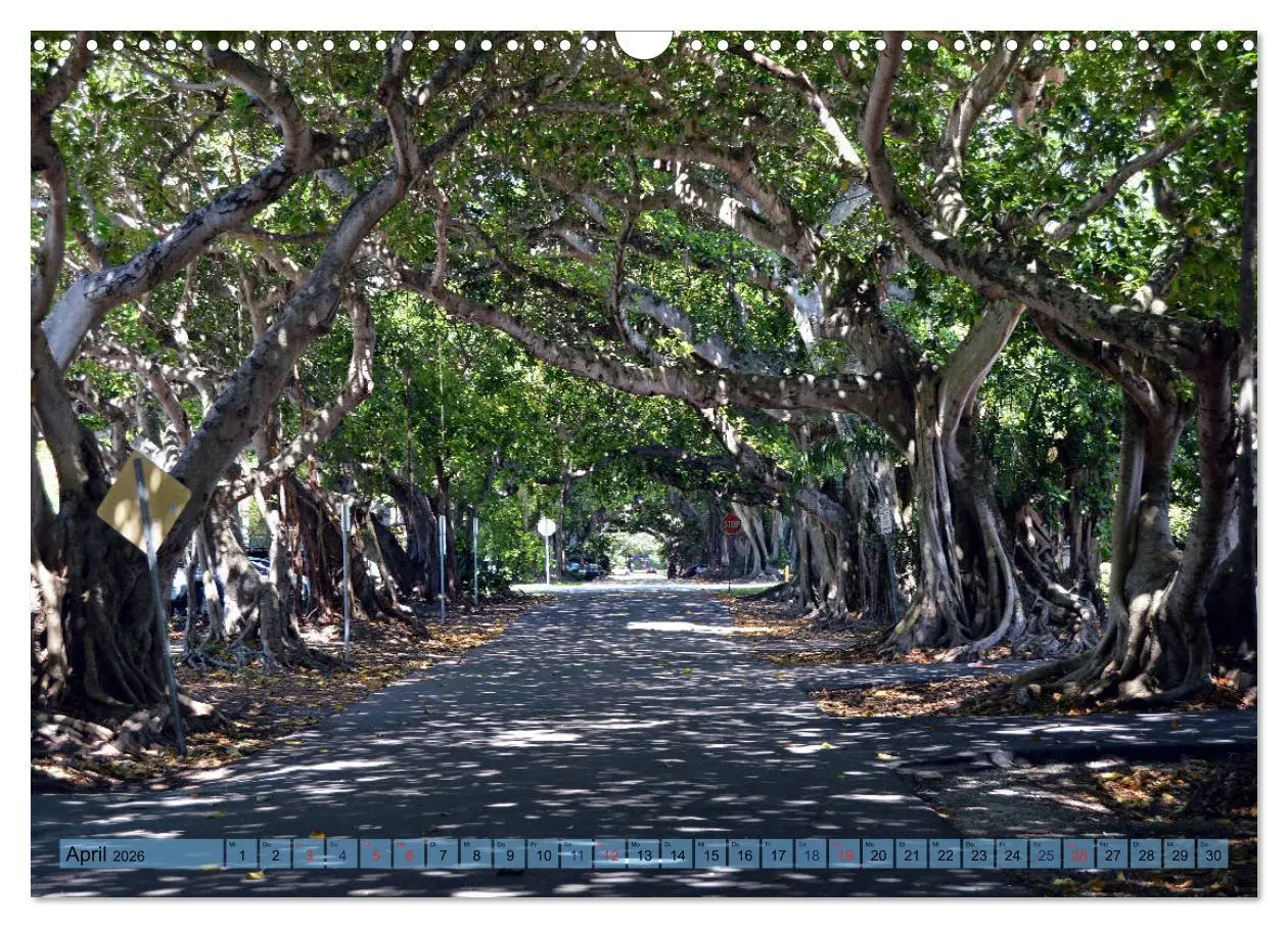 Bild: 9783457930069 | Florida Spots II (Wandkalender 2026 DIN A3 quer), CALVENDO...