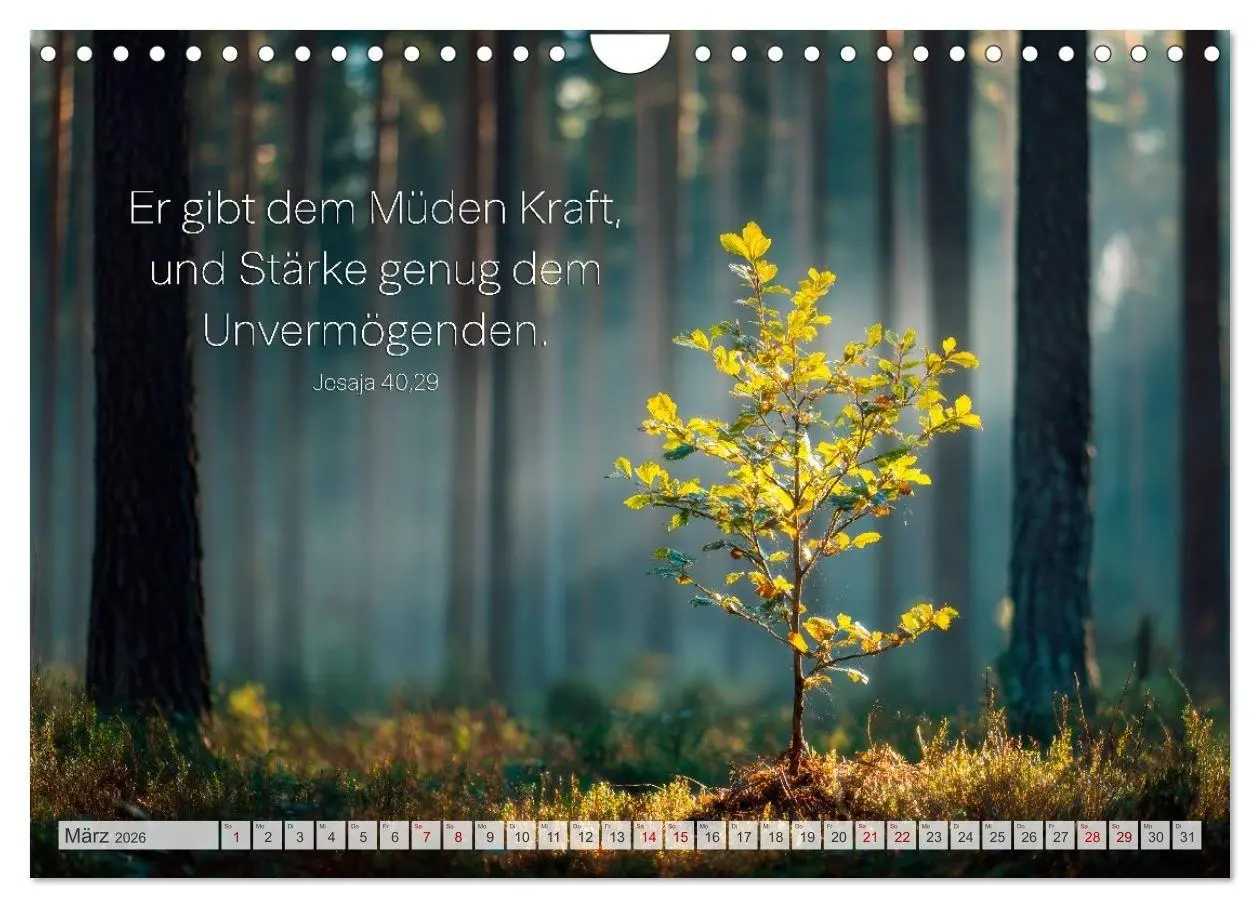 Bild: 9783516710069 | Psalmen und Bibelverse - Himmlische Botschaften (Wandkalender 2026...