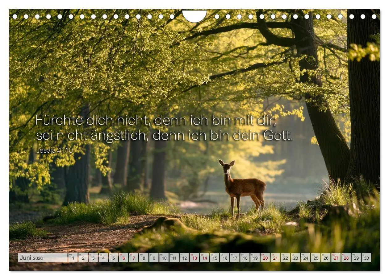 Bild: 9783516710069 | Psalmen und Bibelverse - Himmlische Botschaften (Wandkalender 2026...