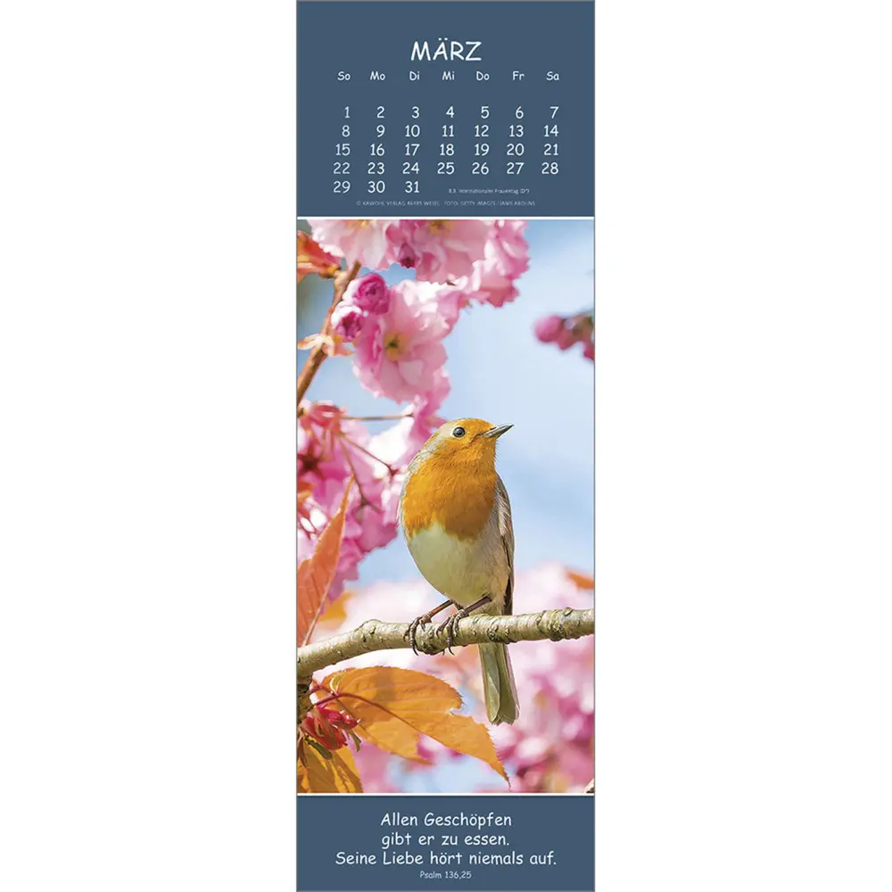 Bild: 9783754860069 | Gedanken des Friedens 2026 | Kalender | Spiralbindung | Deutsch | 2026