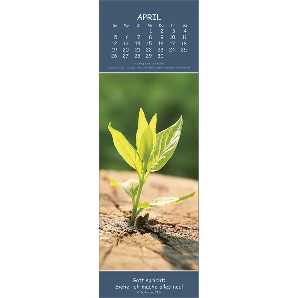 Bild: 9783754860069 | Gedanken des Friedens 2026 | Kalender | Spiralbindung | Deutsch | 2026
