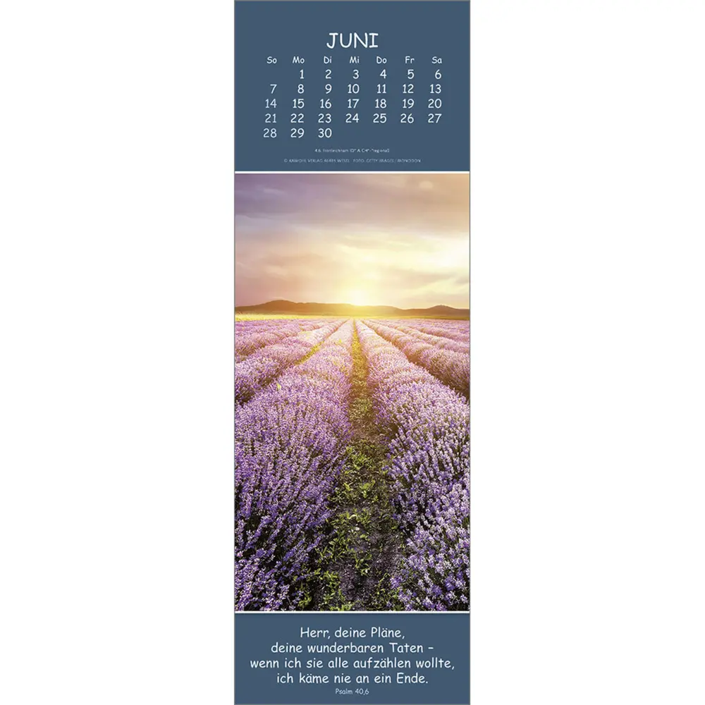 Bild: 9783754860069 | Gedanken des Friedens 2026 | Kalender | Spiralbindung | Deutsch | 2026
