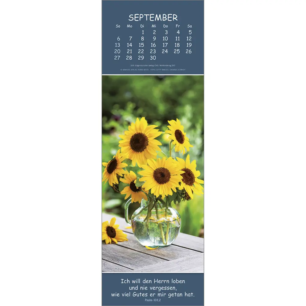 Bild: 9783754860069 | Gedanken des Friedens 2026 | Kalender | Spiralbindung | Deutsch | 2026