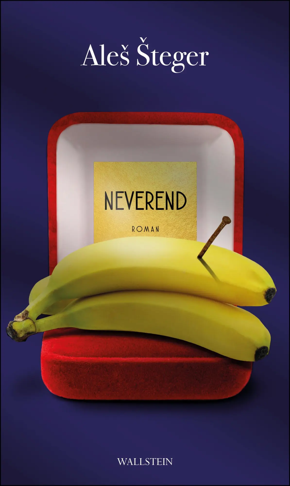Cover: 9783835350069 | Neverend | Roman | Ales Steger | Buch | 462 S. | Deutsch | 2022