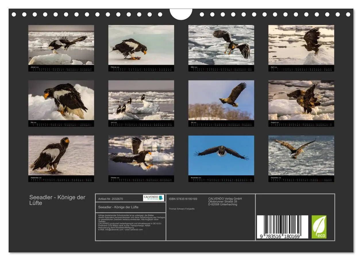 Bild: 9783516180169 | Seeadler - Könige der Lüfte (Wandkalender 2026 DIN A4 quer),...