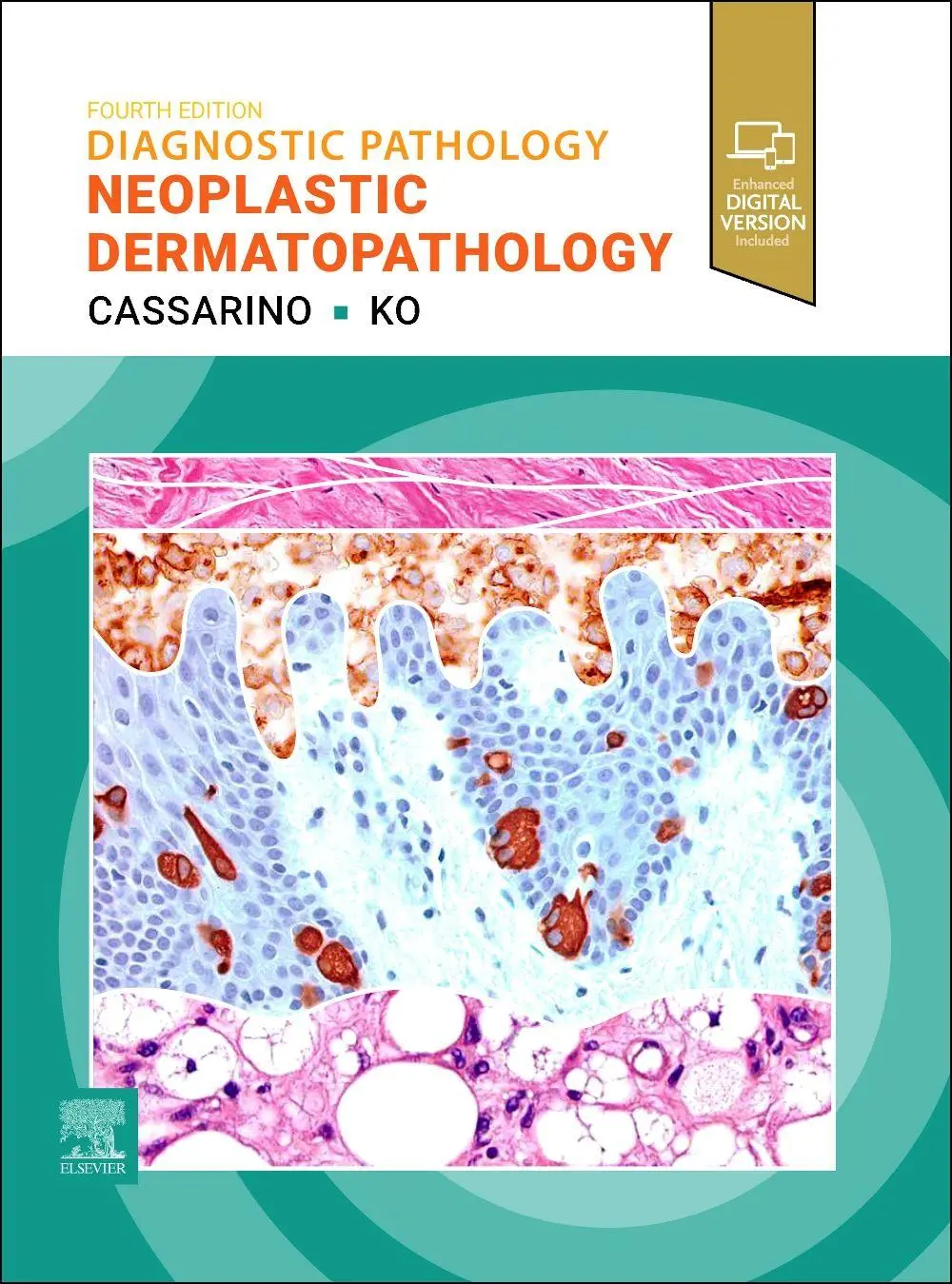 Cover: 9780443410369 | Diagnostic Pathology: Neoplastic Dermatopathology | Cassarino (u. a.)