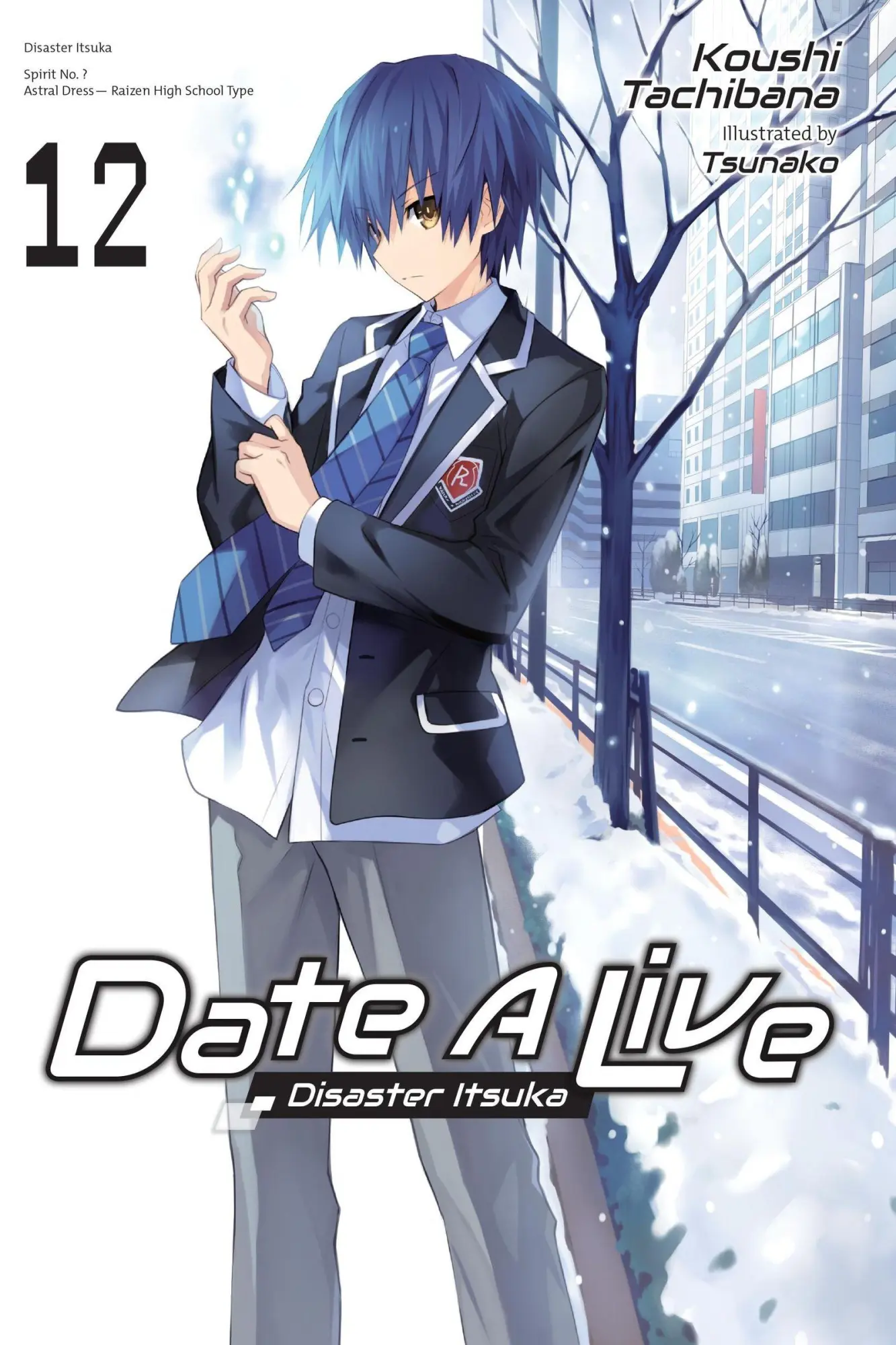 Cover: 9781975350369 | Date a Live, Vol. 12 (Light Novel) | Disaster Itsuka | Tachibana