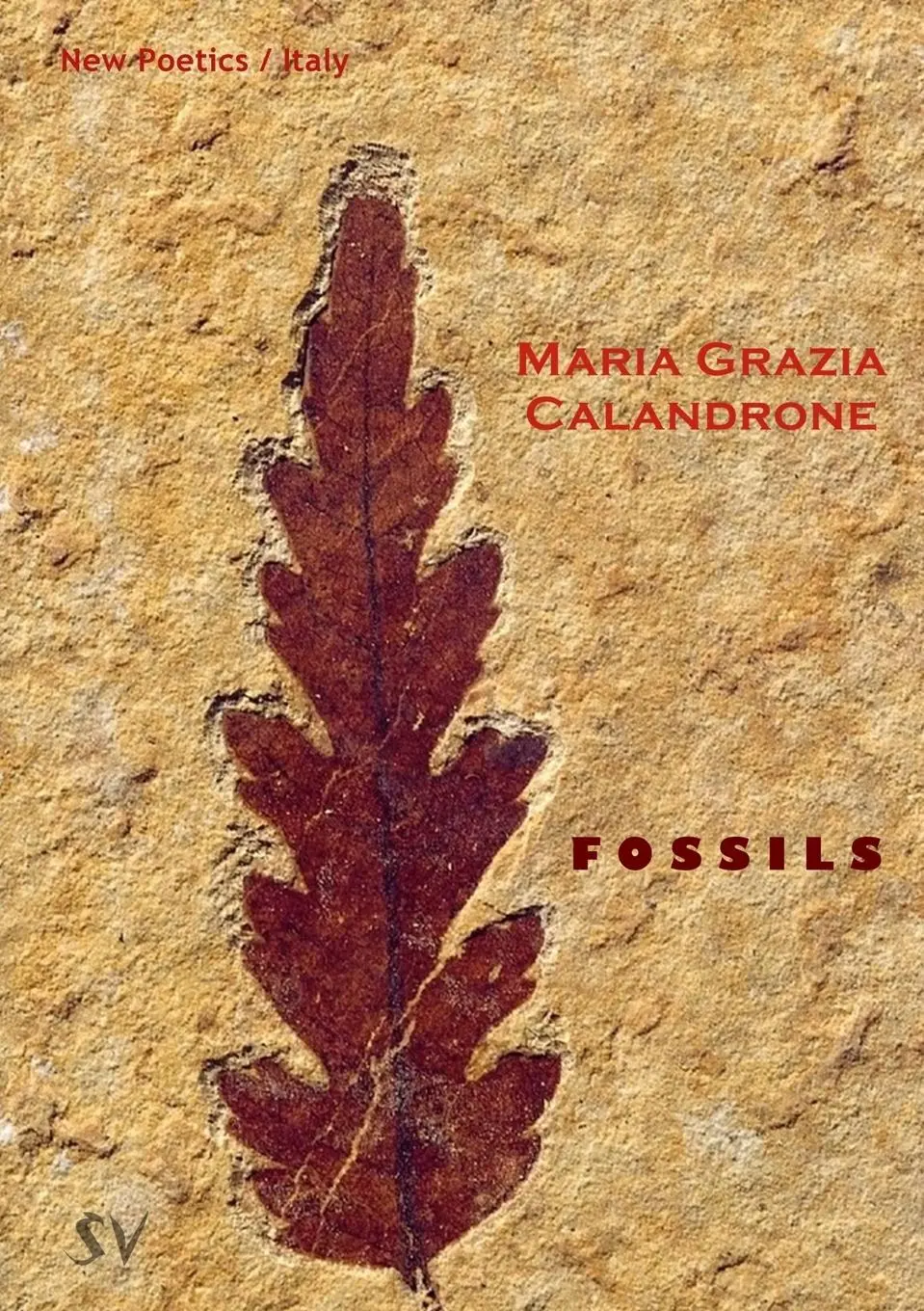 Cover: 9781999590369 | Fossils | Maria Grazia Calandrone | Taschenbuch | Englisch | 2018