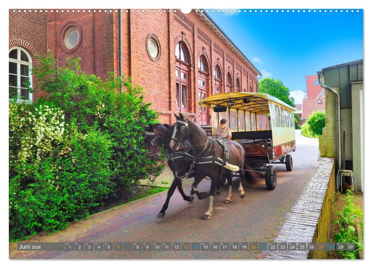 Bild: 9783457380369 | BORKUM Entdeckungen (hochwertiger Premium Wandkalender 2026 DIN A2...
