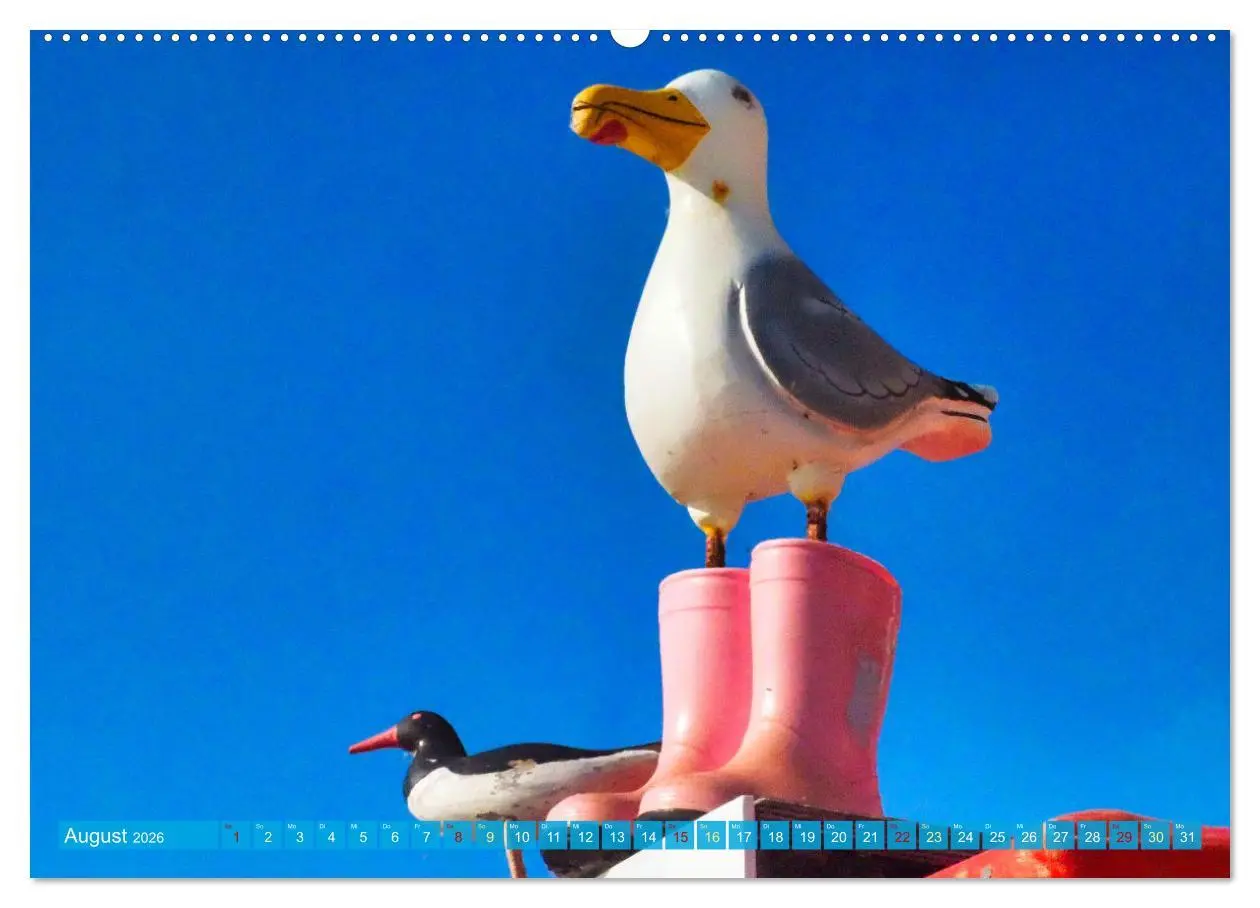 Bild: 9783457380369 | BORKUM Entdeckungen (hochwertiger Premium Wandkalender 2026 DIN A2...