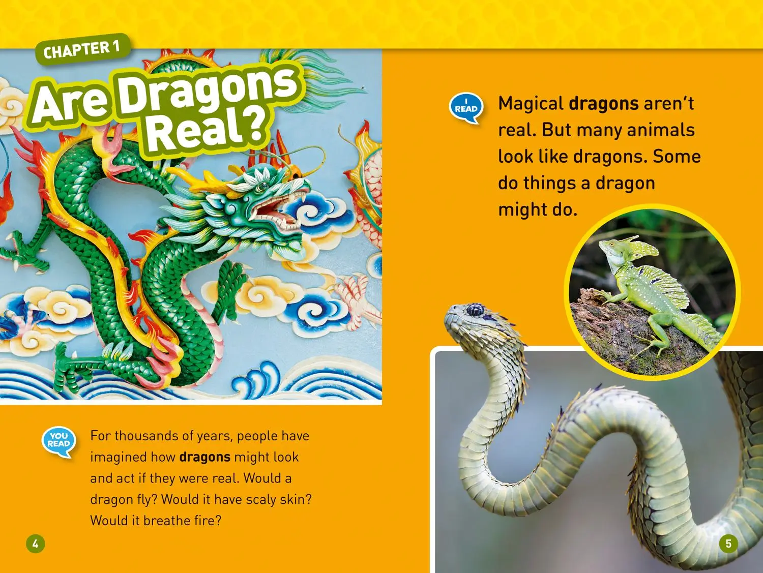 Bild: 9781426330469 | Real Dragons! (National Geographic Kids Readers, Level 1/Co-Reader)