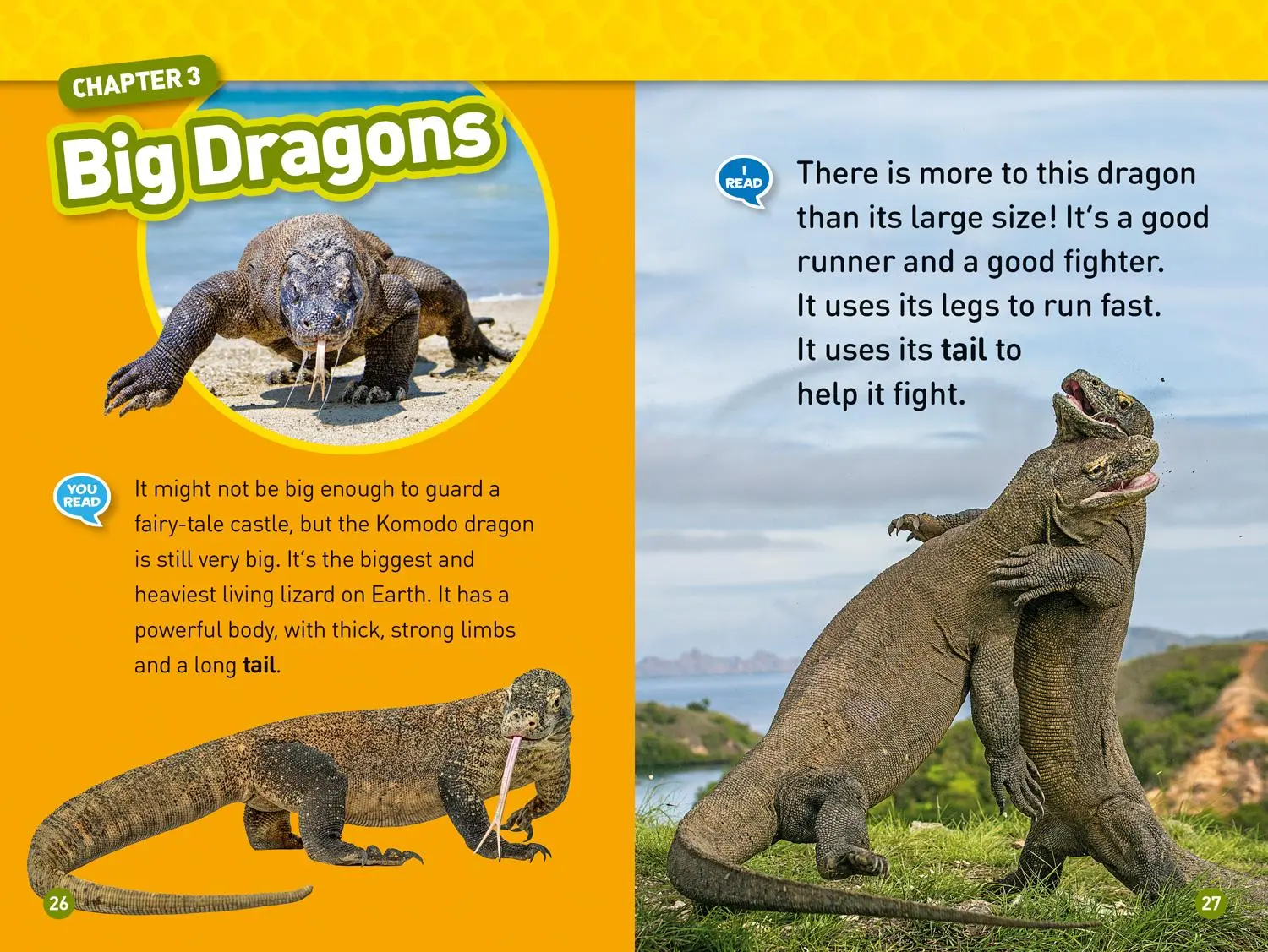 Bild: 9781426330469 | Real Dragons! (National Geographic Kids Readers, Level 1/Co-Reader)