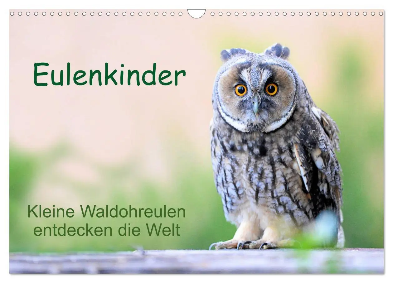 Cover: 9783435110469 | Eulenkinder - Kleine Waldohreulen entdecken die Welt (Wandkalender...