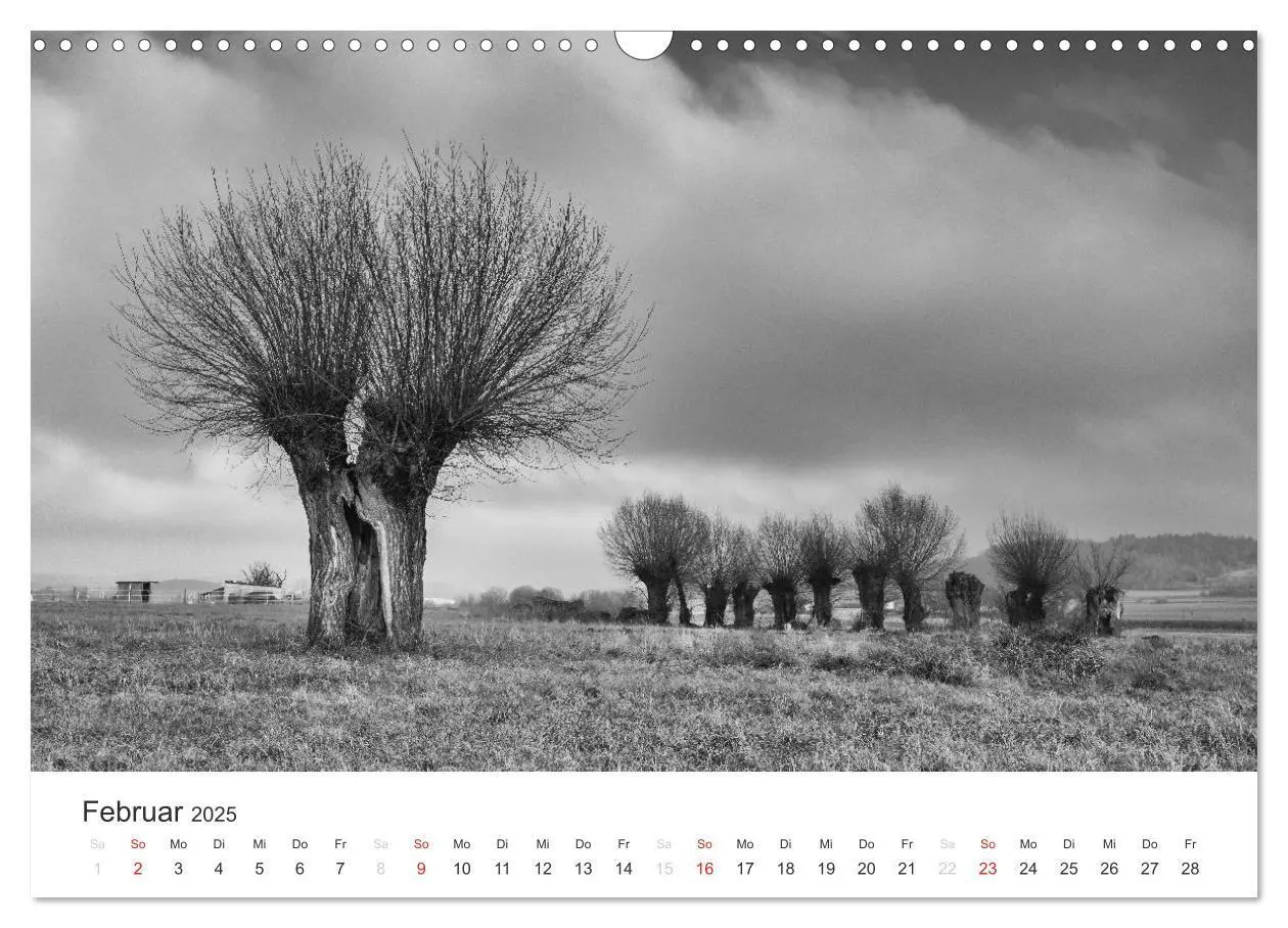 Bild: 9783435660469 | Bäume - Naturschönheiten in schwarz-weiß (Wandkalender 2025 DIN A3...