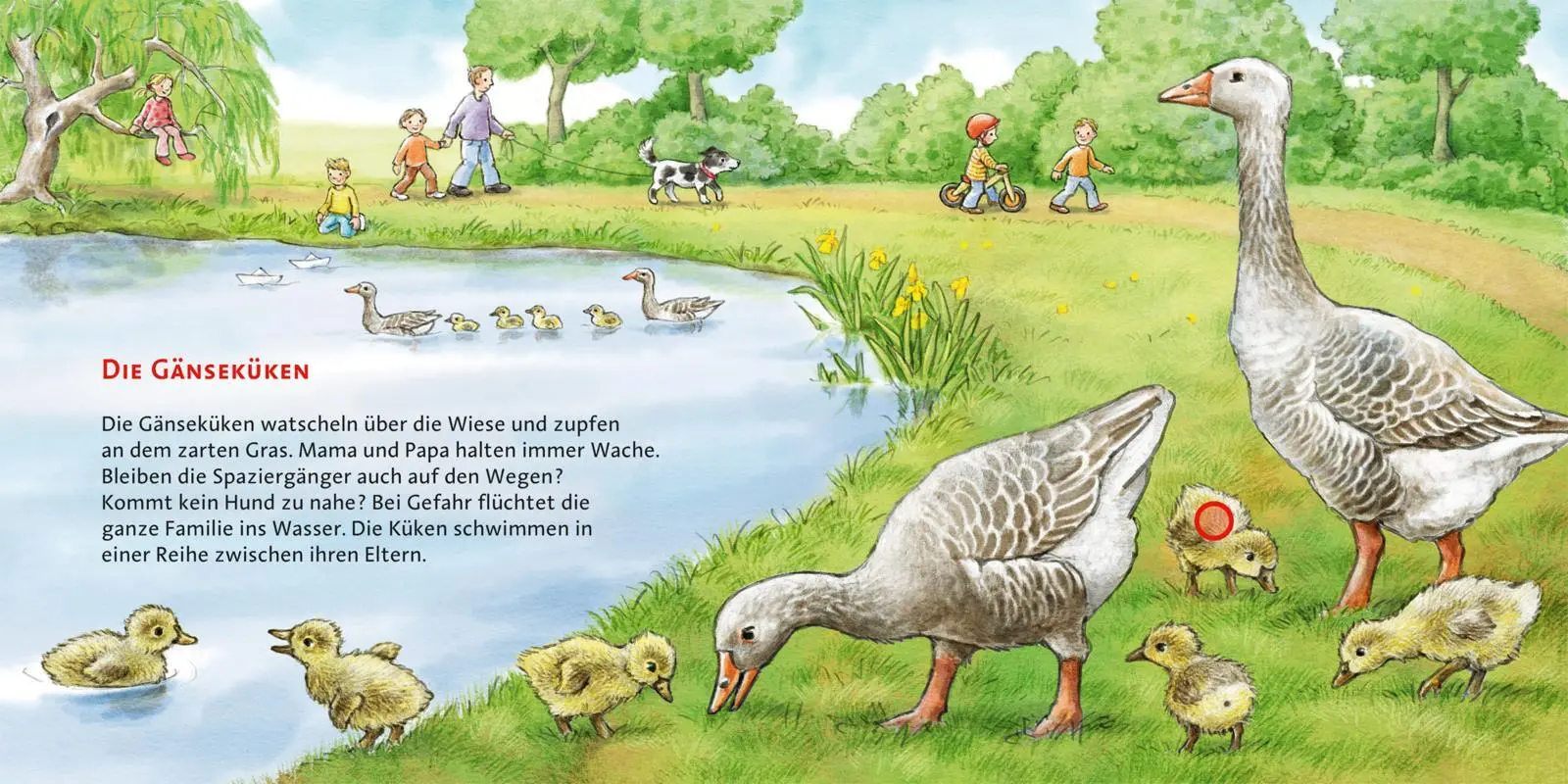 Bild: 9783551250469 | Hör mal (Soundbuch) | Anne Möller | Buch | Soundbuch mit 6 Sounds