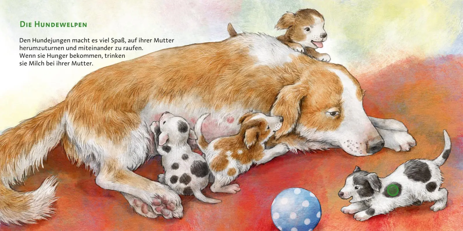 Bild: 9783551250469 | Hör mal (Soundbuch) | Anne Möller | Buch | Soundbuch mit 6 Sounds