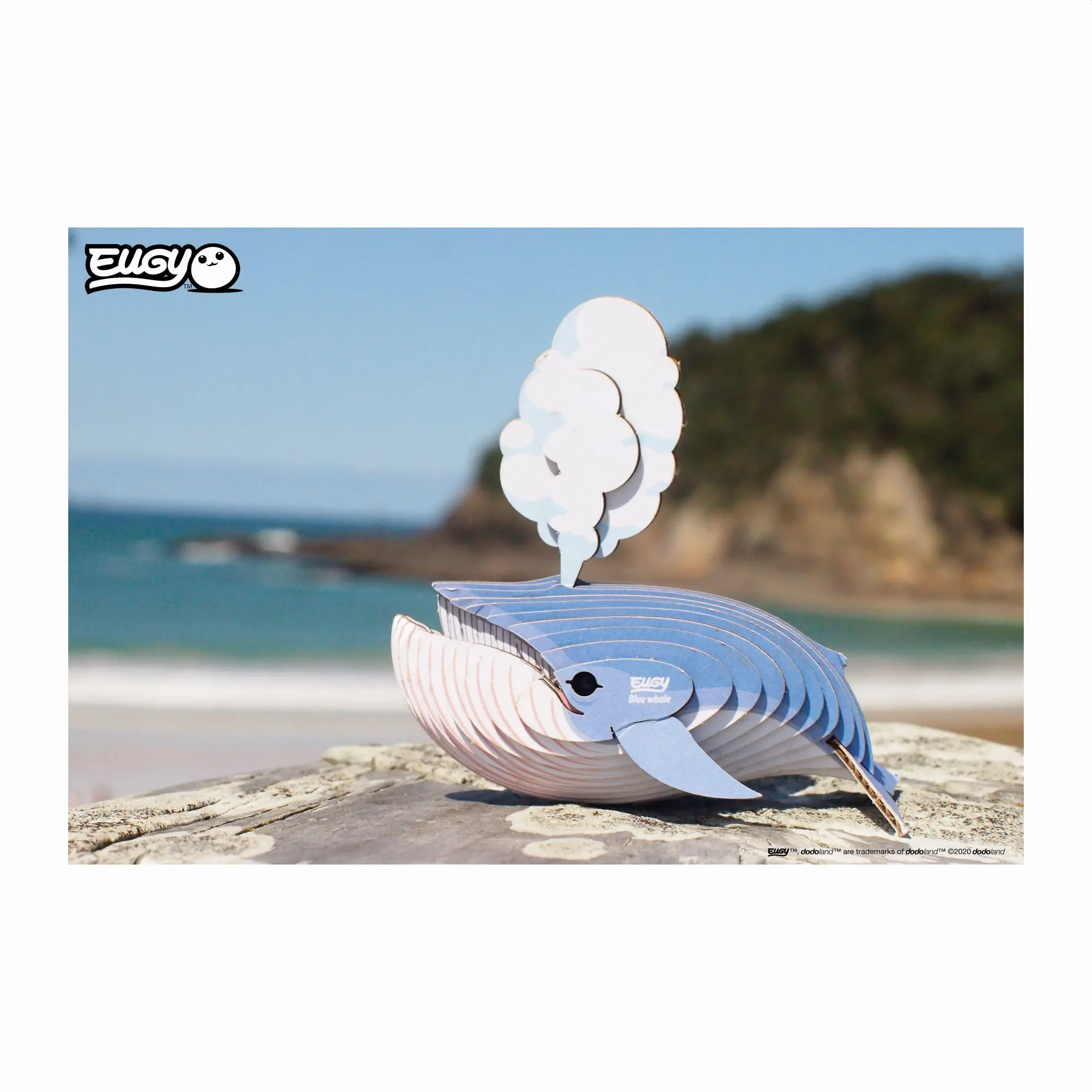 Bild: 9421035150569 | EUGY - 3D Bastelset Blauwal | Eugy | Kit (Bastelset) | 650066 | 2023