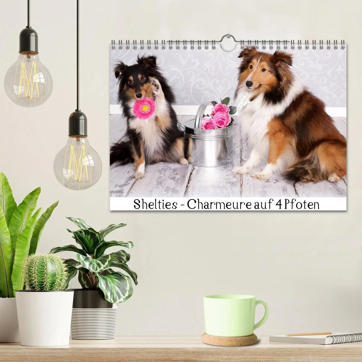 Bild: 9783516140569 | Shelties : Charmeure auf 4 Pfoten (Wandkalender 2026 DIN A4 quer),...