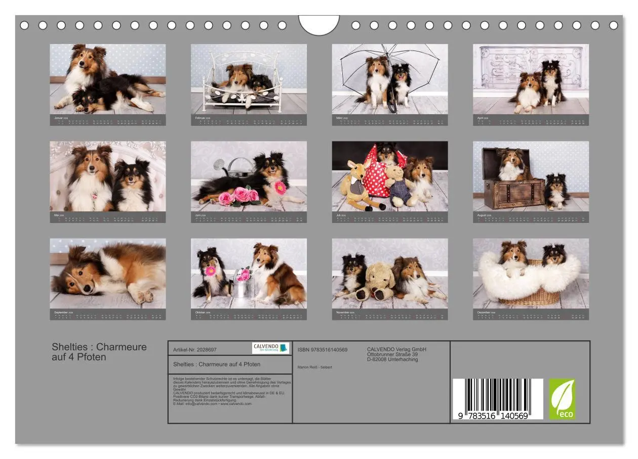 Bild: 9783516140569 | Shelties : Charmeure auf 4 Pfoten (Wandkalender 2026 DIN A4 quer),...