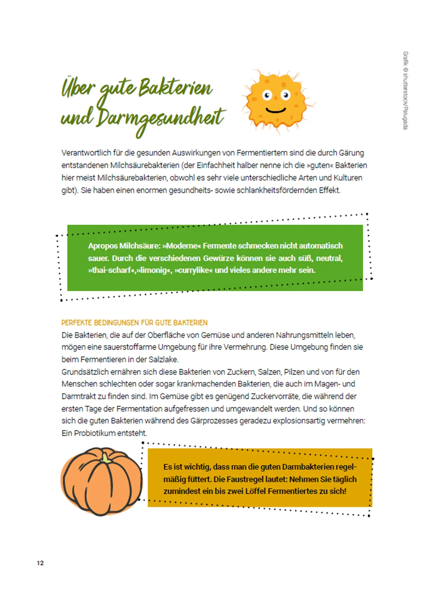 Bild: 9783702020569 | Fermentieren ganz einfach | Superfood für den Darm | Katrin Thomas