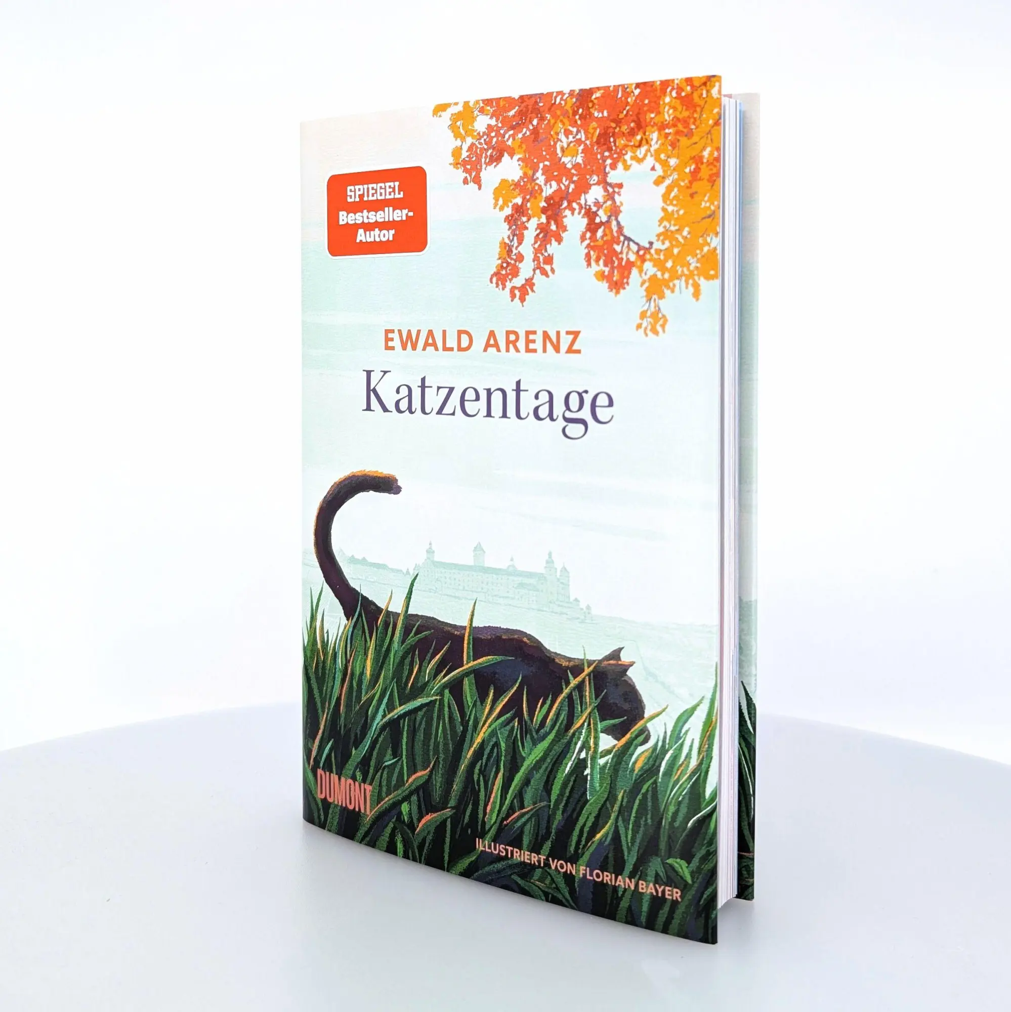 Bild: 9783755800569 | Katzentage | Illustrierte Erzählung | Ewald Arenz | Buch | 118 S.