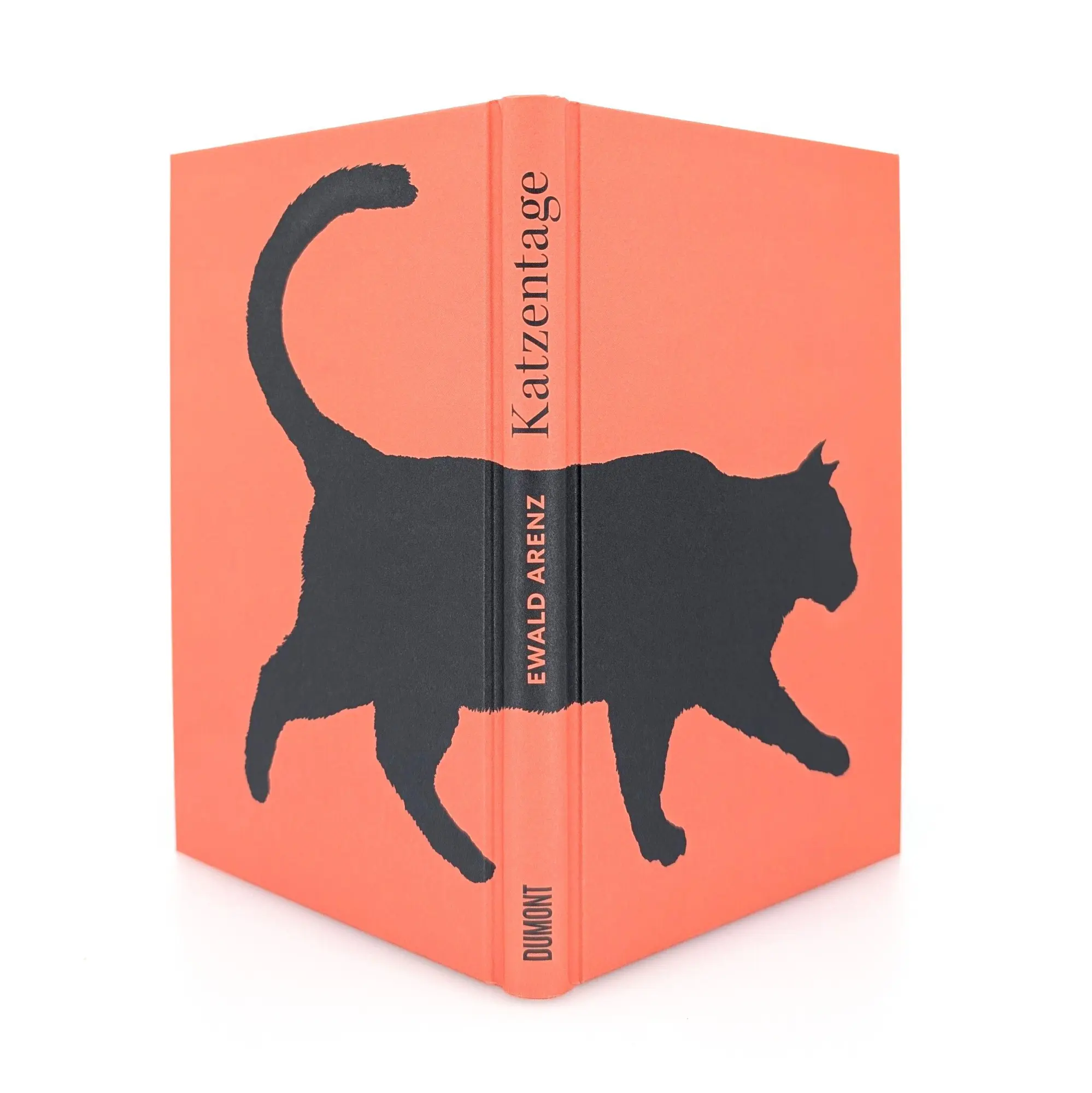 Bild: 9783755800569 | Katzentage | Illustrierte Erzählung | Ewald Arenz | Buch | 118 S.