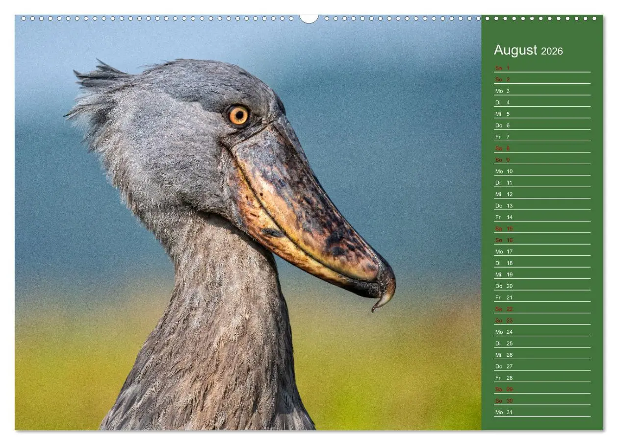 Bild: 9783457590669 | UGANDA - Perle Afrikas (Wandkalender 2026 DIN A2 quer), CALVENDO...