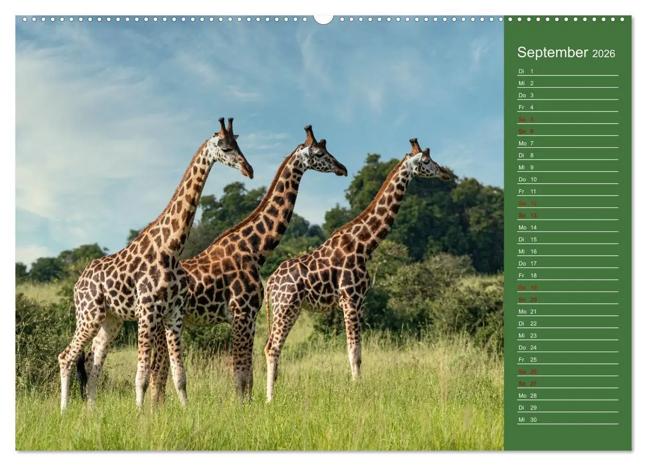 Bild: 9783457590669 | UGANDA - Perle Afrikas (Wandkalender 2026 DIN A2 quer), CALVENDO...