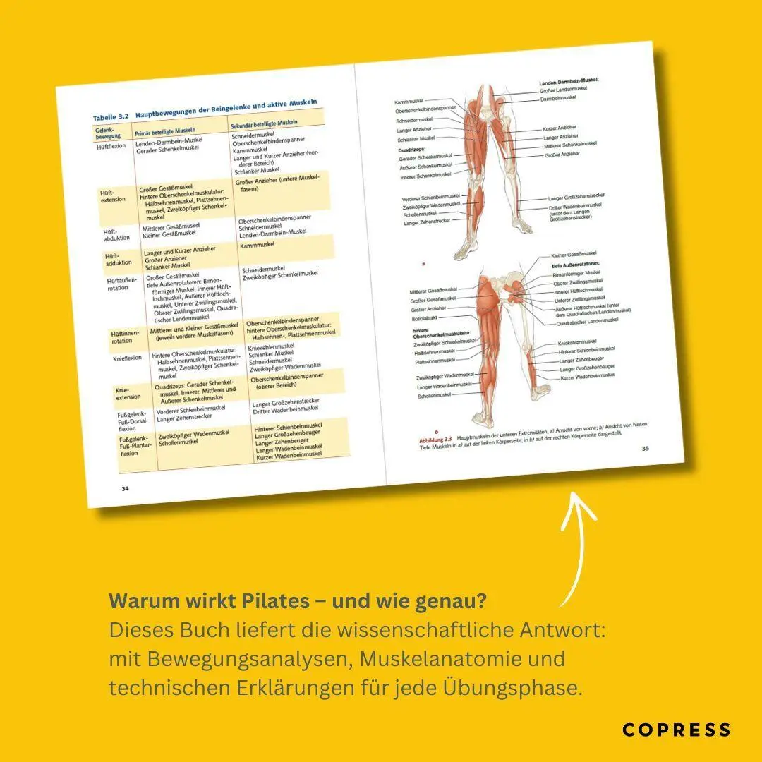 Bild: 9783767910669 | Pilates Anatomie | Rael Isacowitz (u. a.) | Taschenbuch | 204 S.