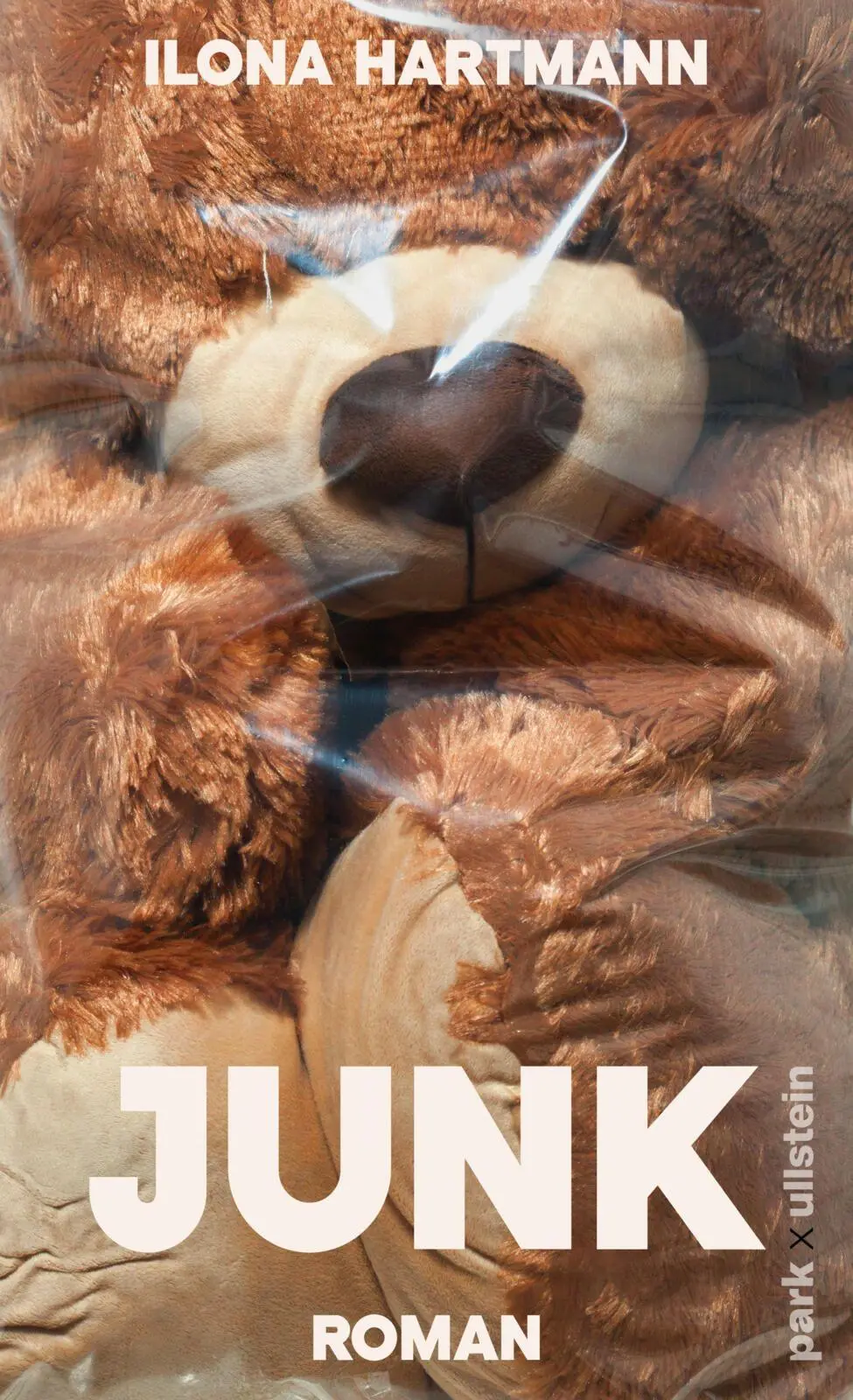 Cover: 9783988160669 | Junk | Ilona Hartmann | Buch | 192 S. | Deutsch | 2026