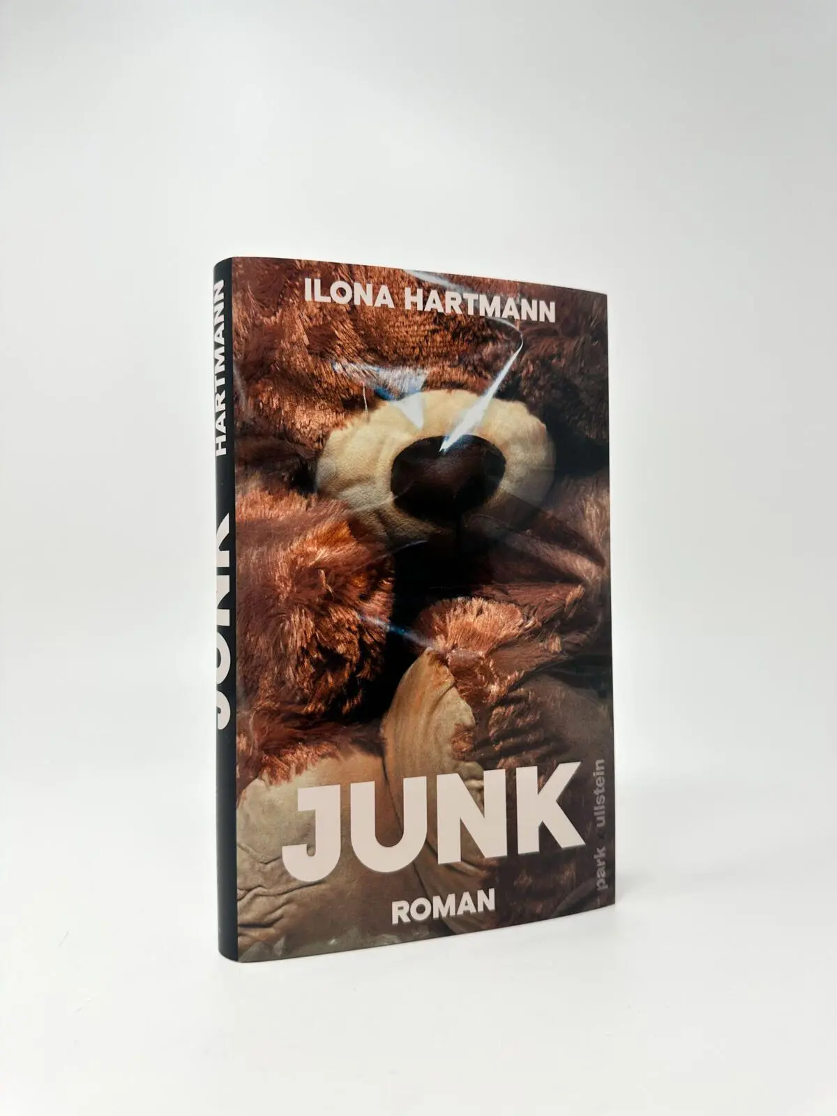 Bild: 9783988160669 | Junk | Ilona Hartmann | Buch | 192 S. | Deutsch | 2026