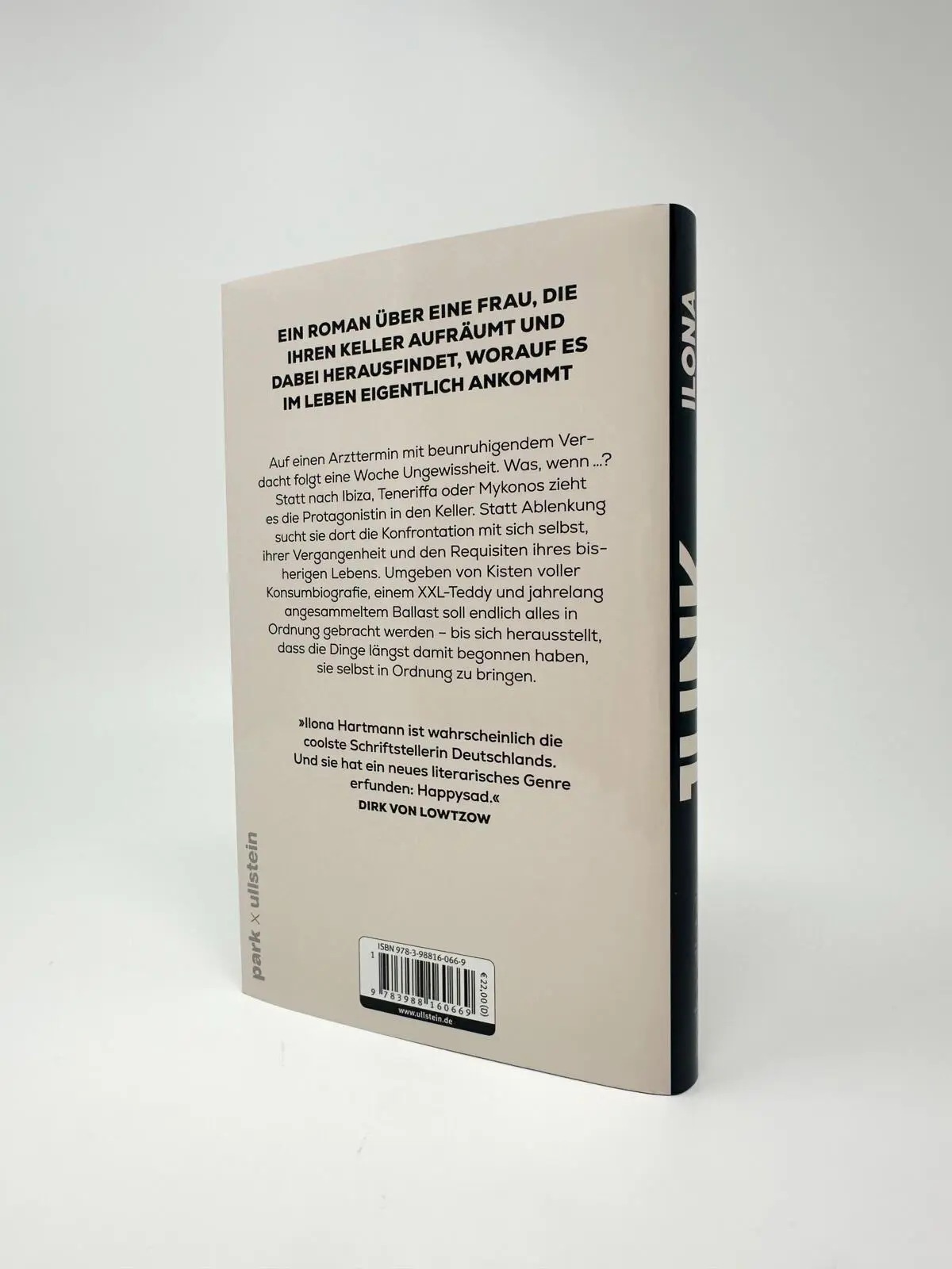 Bild: 9783988160669 | Junk | Roman | Ilona Hartmann | Buch | 192 S. | Deutsch | 2026