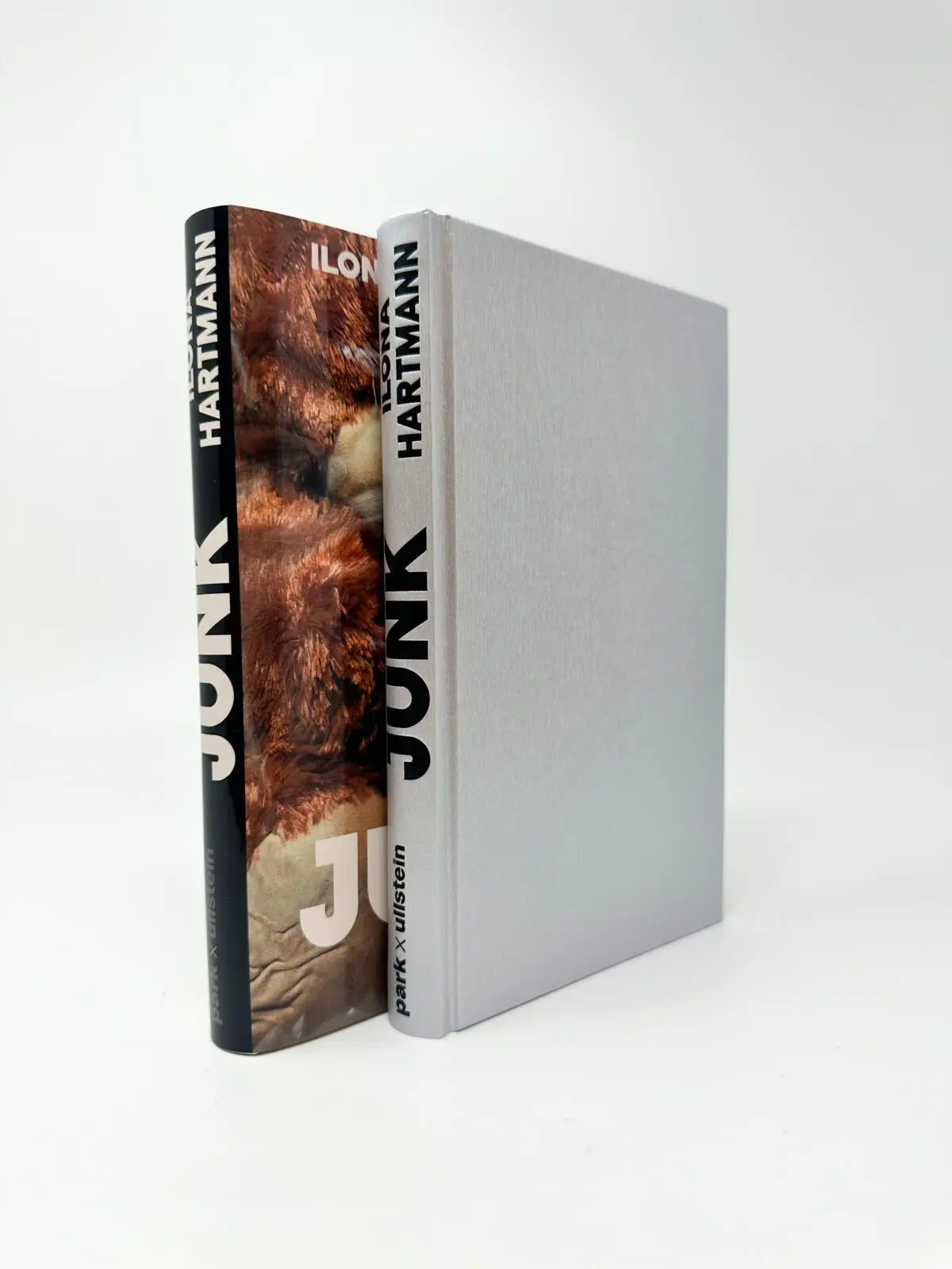 Bild: 9783988160669 | Junk | Roman | Ilona Hartmann | Buch | 192 S. | Deutsch | 2026