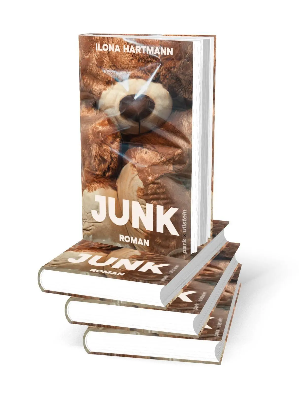 Bild: 9783988160669 | Junk | Roman | Ilona Hartmann | Buch | 192 S. | Deutsch | 2026
