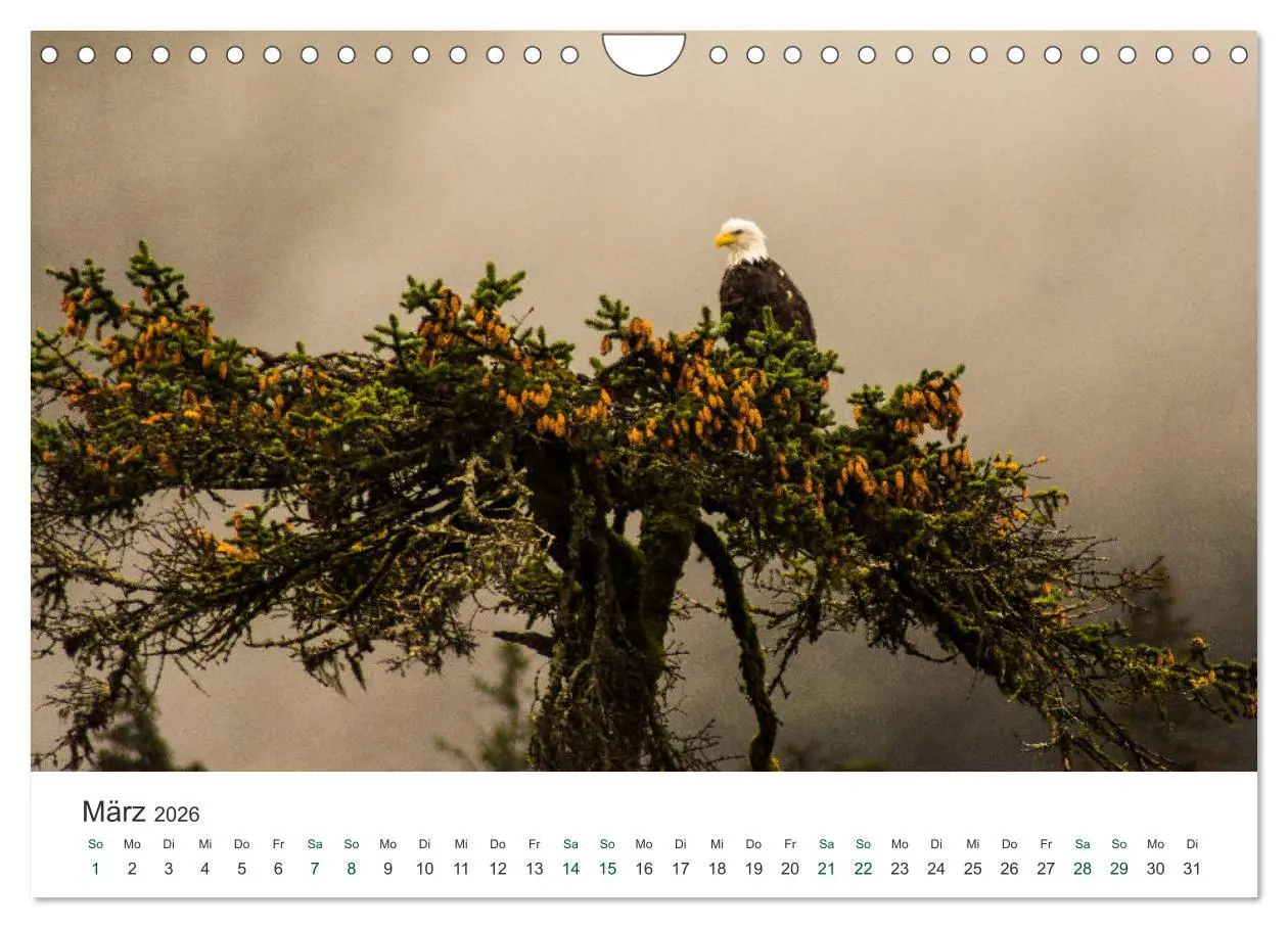 Bild: 9783457890769 | Into the Wild - Kanada und Alaska (Wandkalender 2026 DIN A4 quer),...