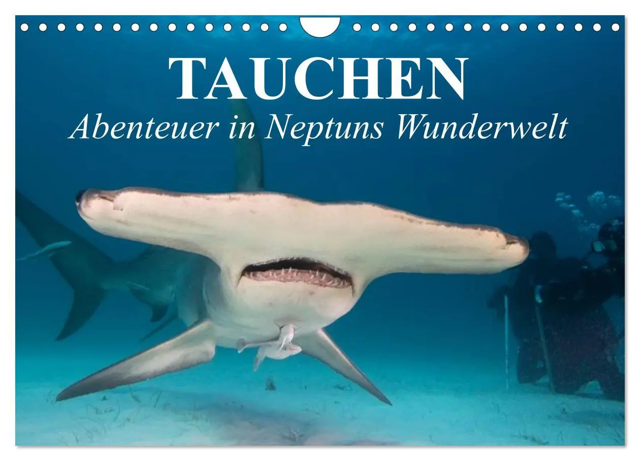 Cover: 9783516120769 | Tauchen - Abenteuer in Neptuns Wunderwelt (Wandkalender 2026 DIN A4...