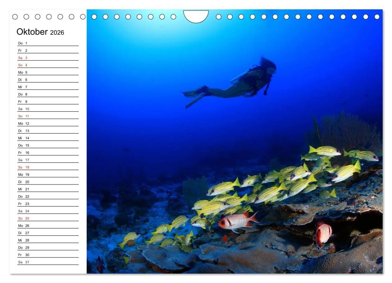 Bild: 9783516120769 | Tauchen - Abenteuer in Neptuns Wunderwelt (Wandkalender 2026 DIN A4...
