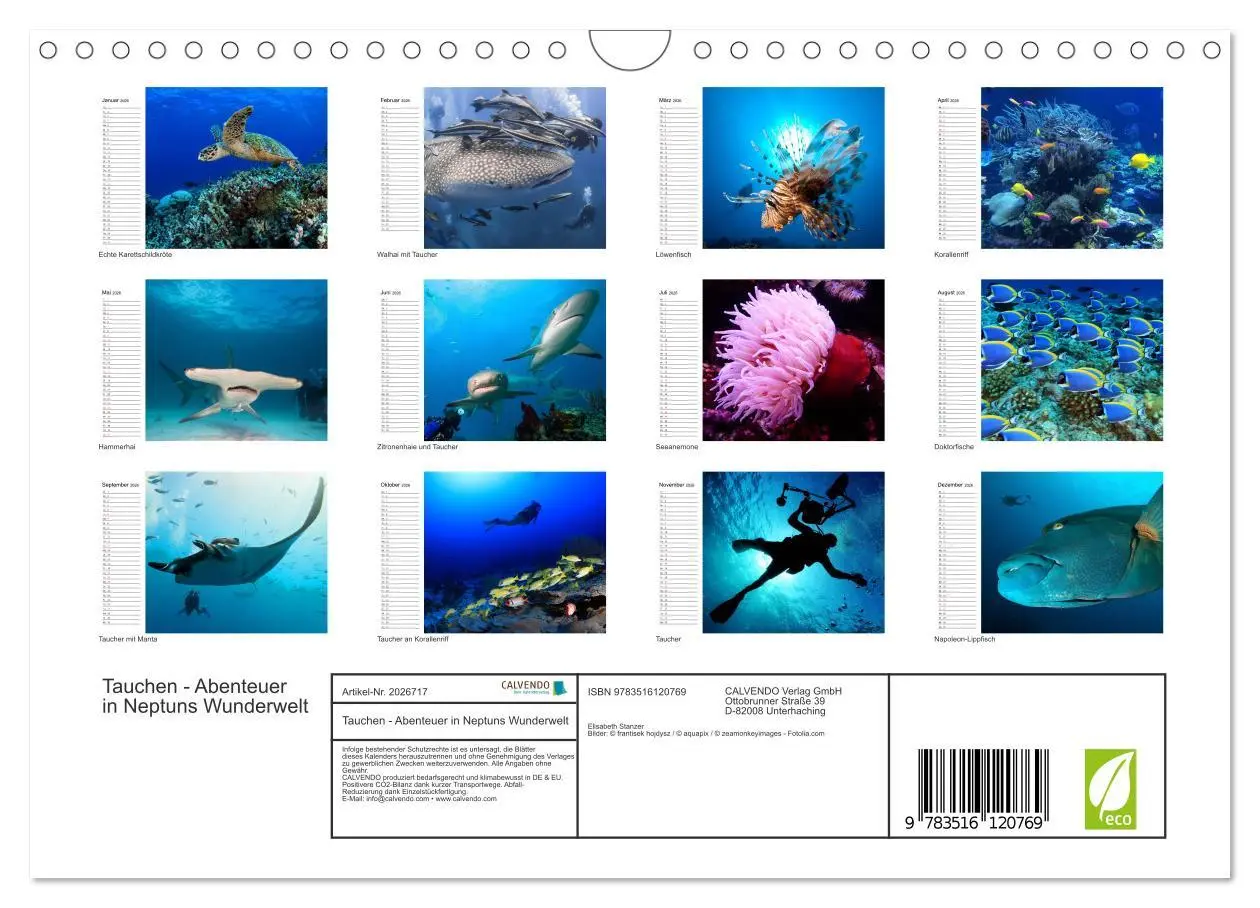 Bild: 9783516120769 | Tauchen - Abenteuer in Neptuns Wunderwelt (Wandkalender 2026 DIN A4...