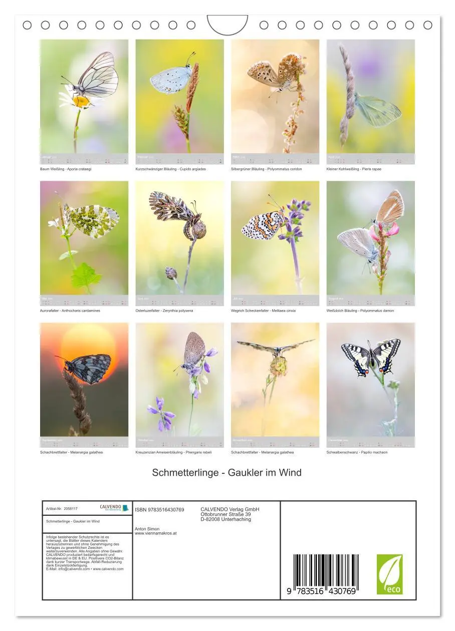 Bild: 9783516430769 | Schmetterlinge - Gaukler im Wind (Wandkalender 2026 DIN A4 hoch),...