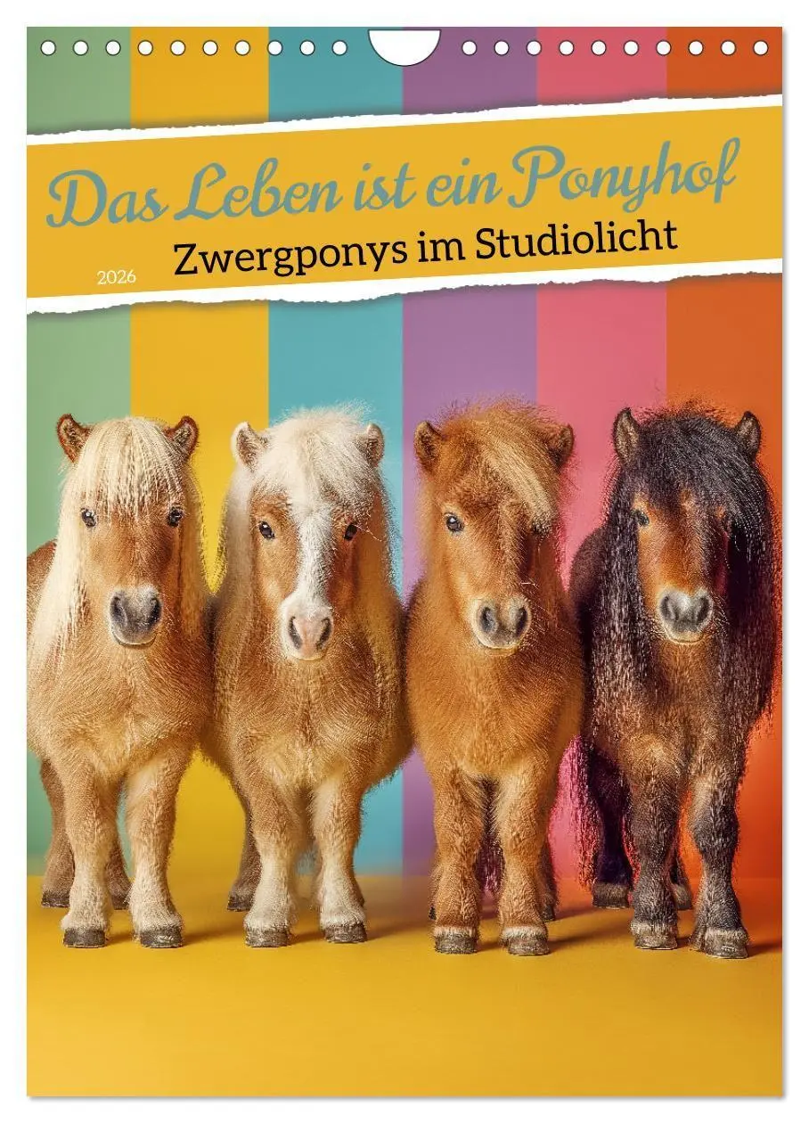 Cover: 9783516670769 | Das Leben ist ein Ponyhof - Zwergponys im Studiolicht (Wandkalender...