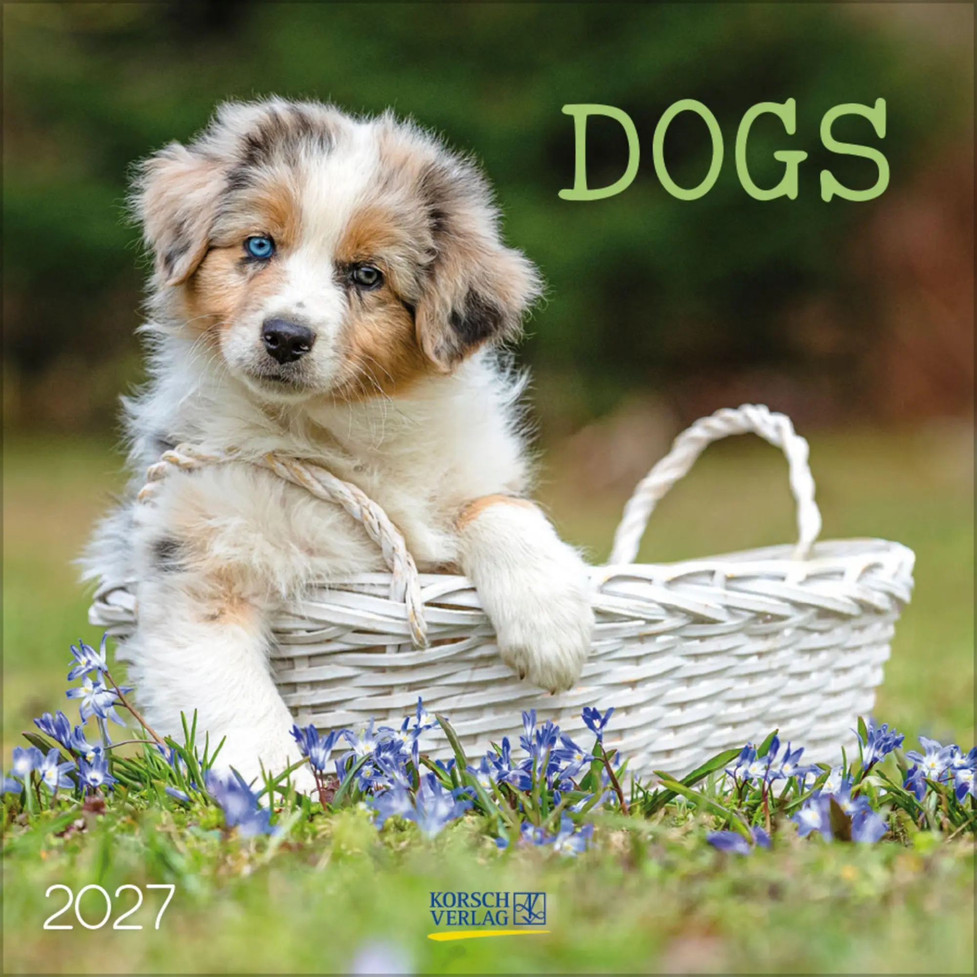 Cover: 9783819300769 | Dogs 2027 | Verlag Korsch | Kalender | 13 S. | Deutsch | 2027