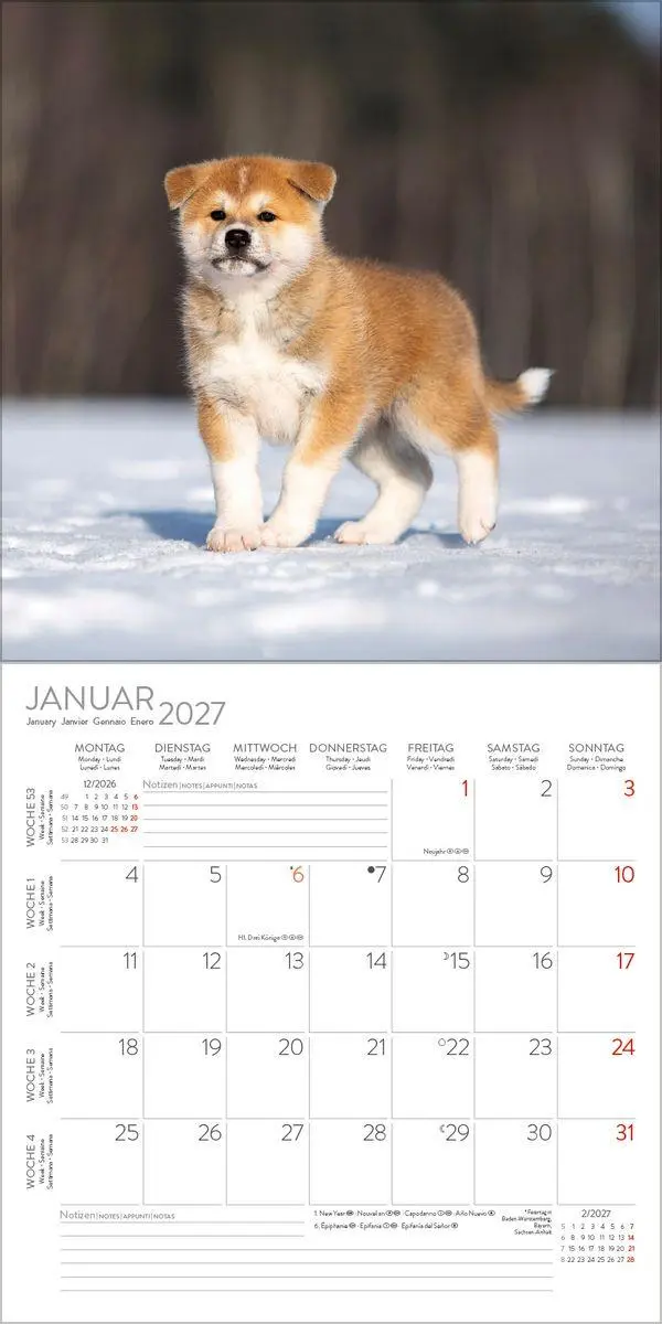 Bild: 9783819300769 | Dogs 2027 | Verlag Korsch | Kalender | 13 S. | Deutsch | 2027