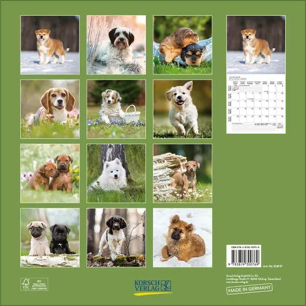 Bild: 9783819300769 | Dogs 2027 | Verlag Korsch | Kalender | 13 S. | Deutsch | 2027