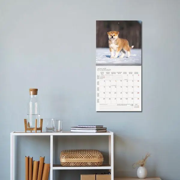 Bild: 9783819300769 | Dogs 2027 | Verlag Korsch | Kalender | 13 S. | Deutsch | 2027